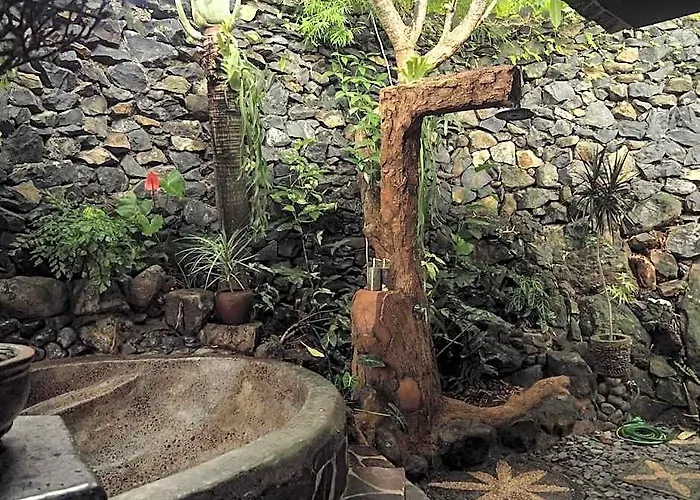 Kailash BALI