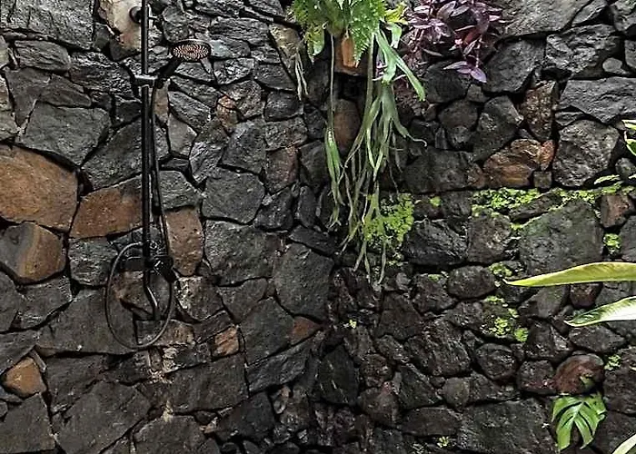 Kailash BALI